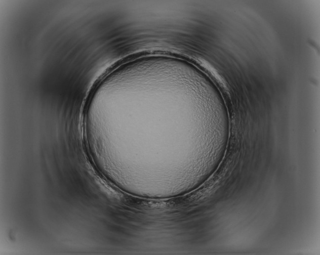 X0000091700791200709210921