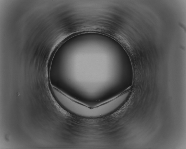 X0000091700792200709210921