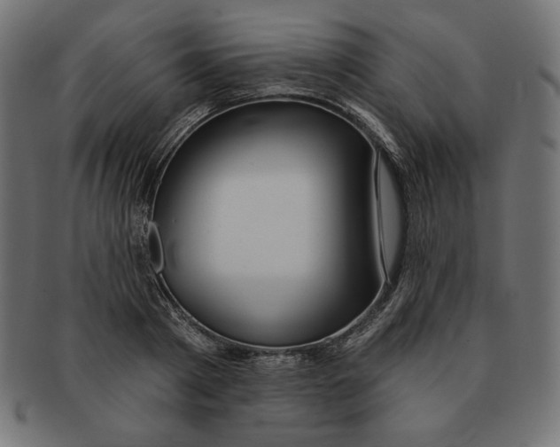 X0000091700793200709210921