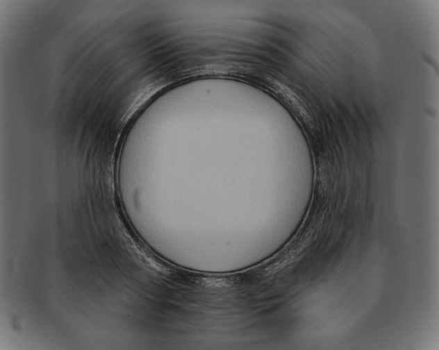 X0000091700794200709210921