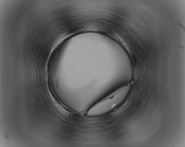 X0000091700795200709210921