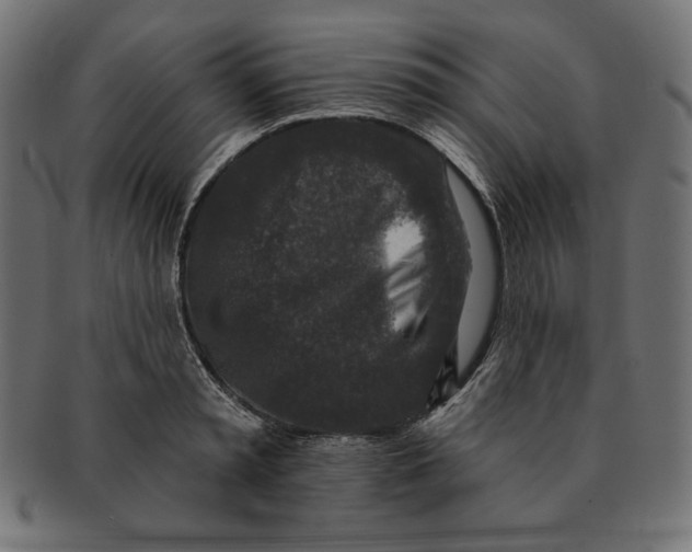 X0000091700797200709210921