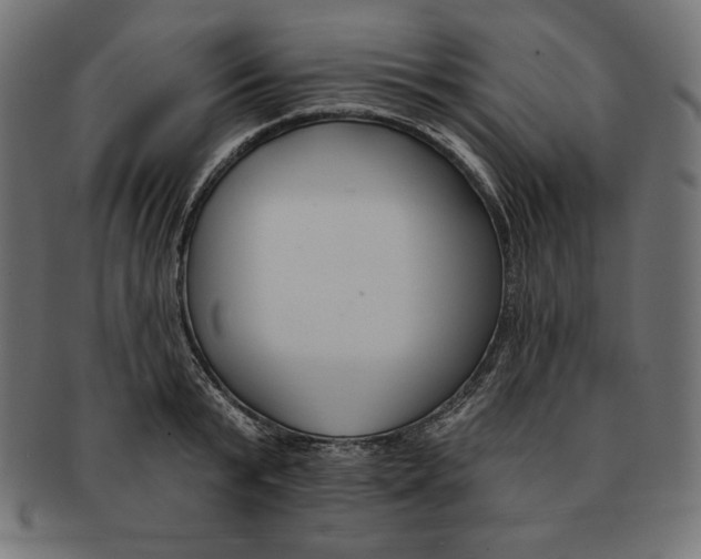 X0000091700799200709210921