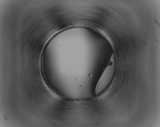 X0000091700803200709210921