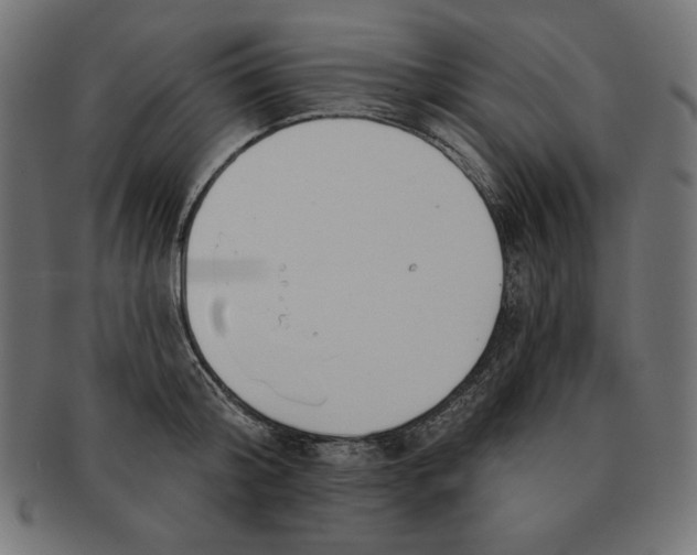 X0000091700804200709210921