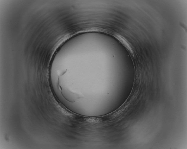 X0000091700805200709210921