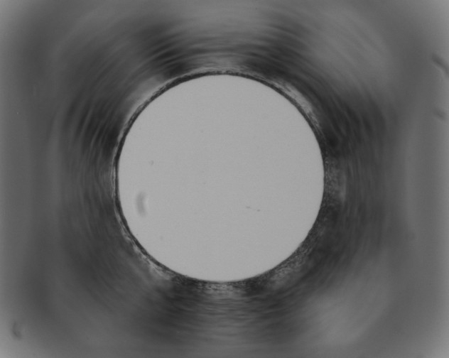 X0000091700807200709210921