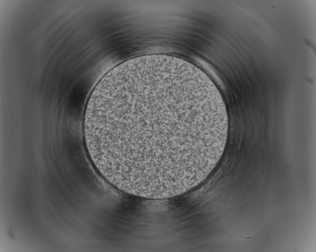 X0000091700810200709210921