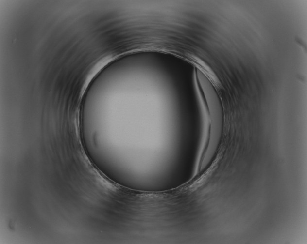 X0000091700812200709210921