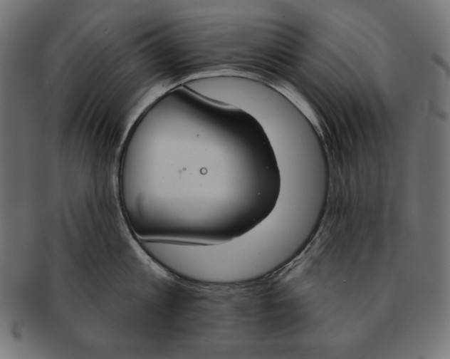 X0000091700813200709210921