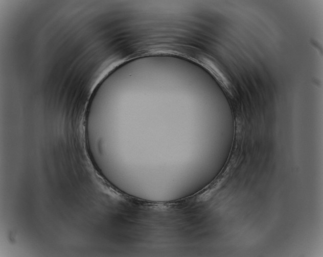 X0000091700814200709210921