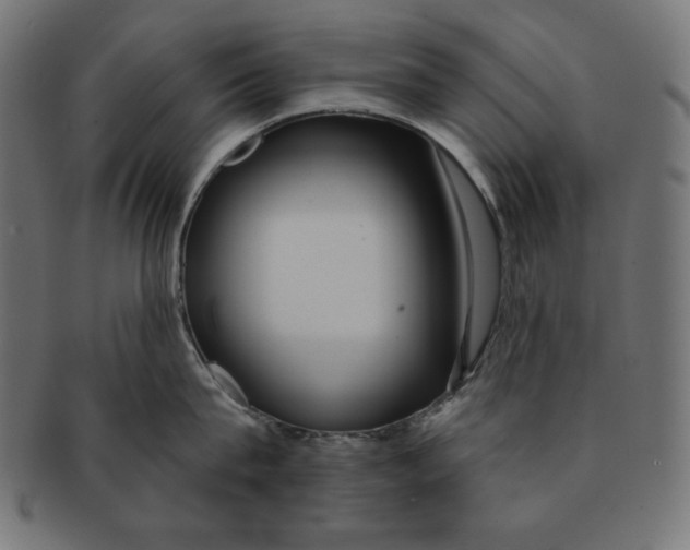 X0000091700815200709210921