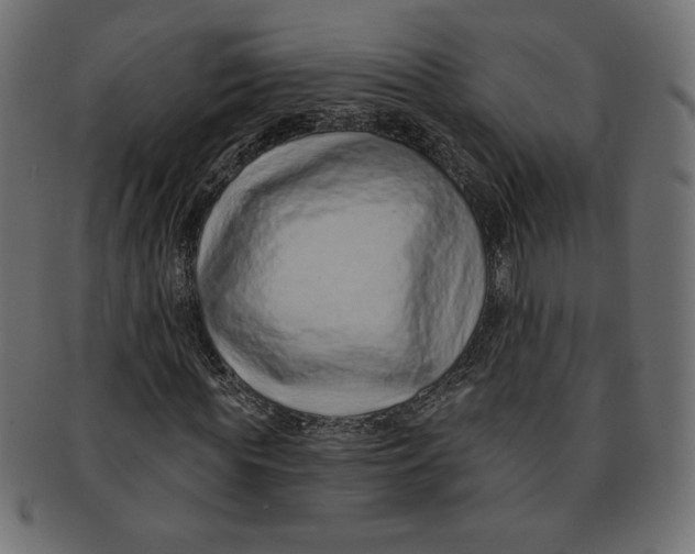 X0000091700819200709210920