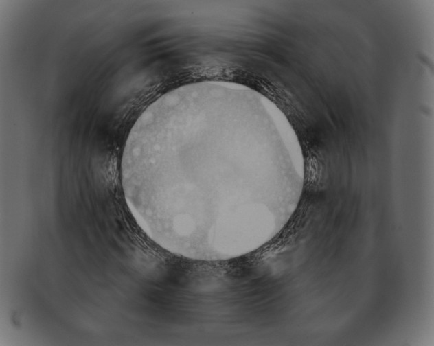 X0000091700820200709210920