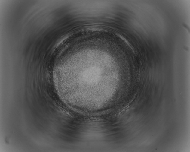 X0000091700823200709210920