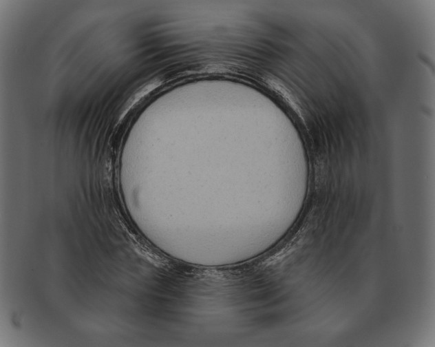 X0000091700827200709210920