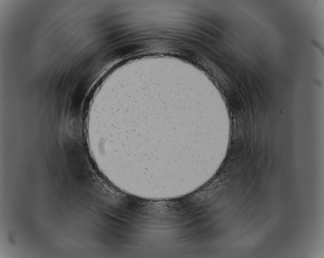 X0000091700828200709210920