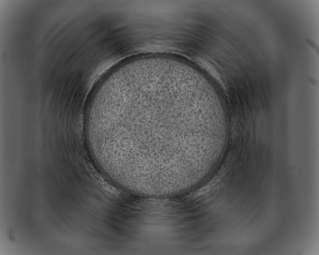 X0000091700831200709210920