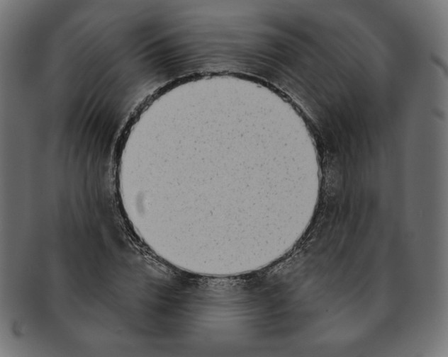 X0000091700832200709210920