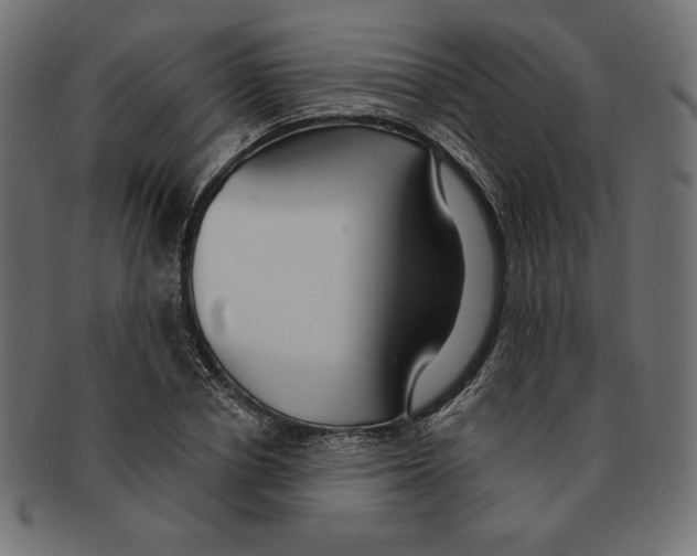 X0000091700834200709210920