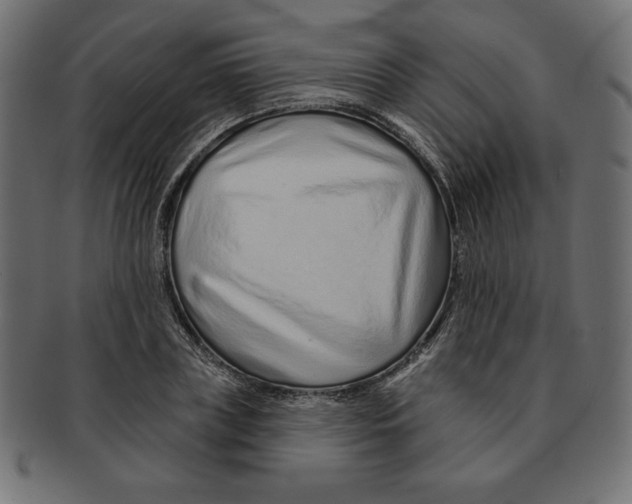 X0000091700835200709210920