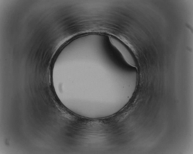 X0000091700838200709210920