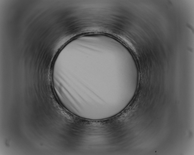 X0000091700839200709210920