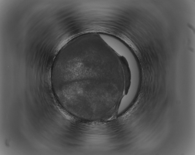 X0000091700842200709210920