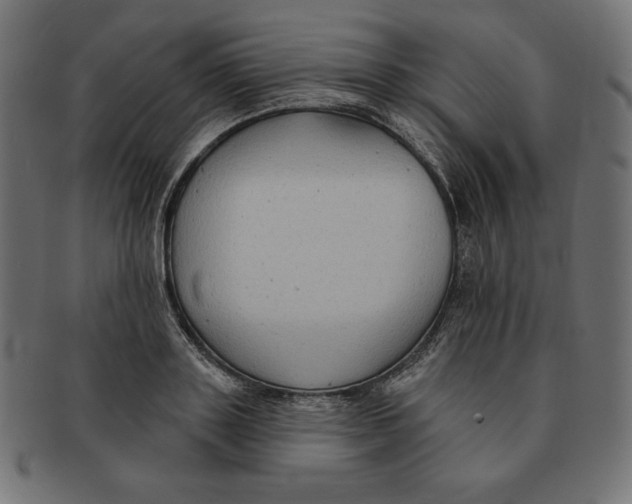 X0000091700843200709210920