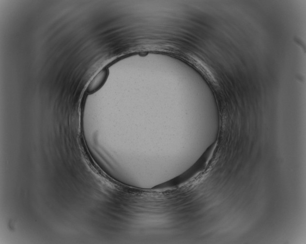 X0000091700844200709210920