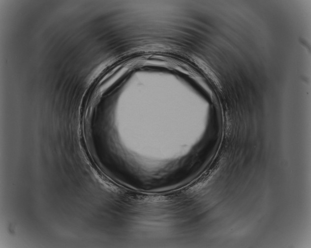 X0000091700845200709210920