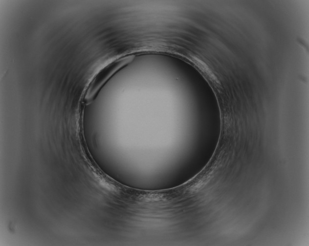 X0000091700846200709210920