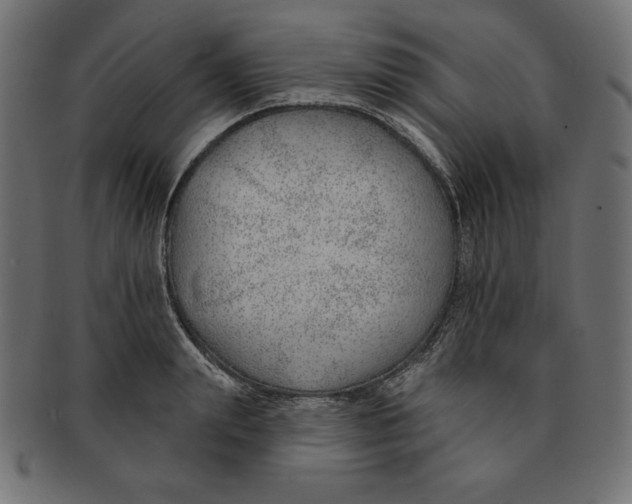 X0000091700847200709210920