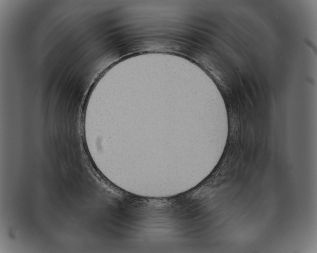 X0000091700848200709210920