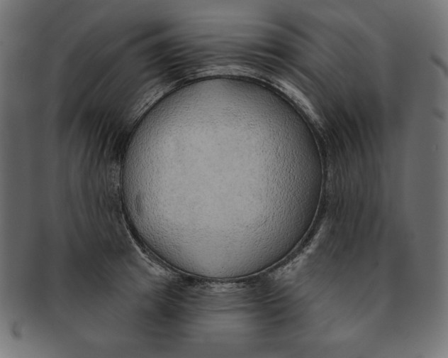 X0000091700849200709210920