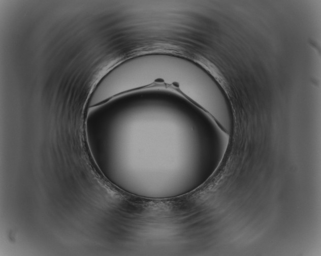 X0000091700850200709210920