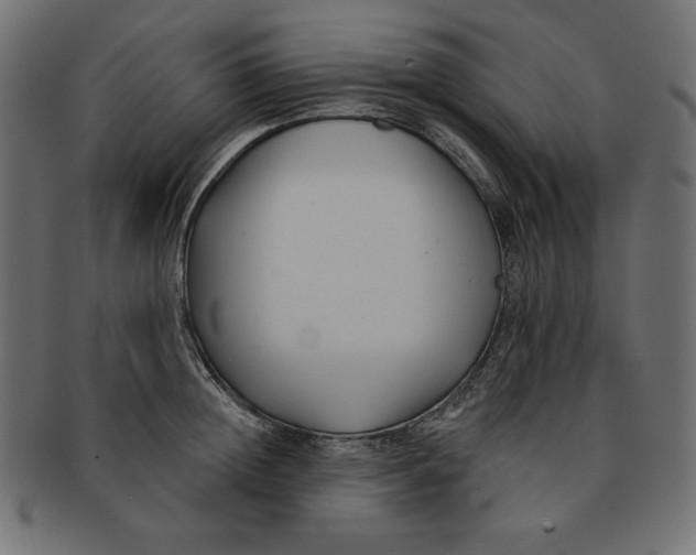 X0000091700852200709210920