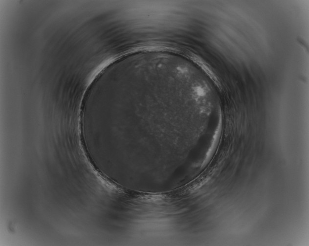 X0000091700853200709210920