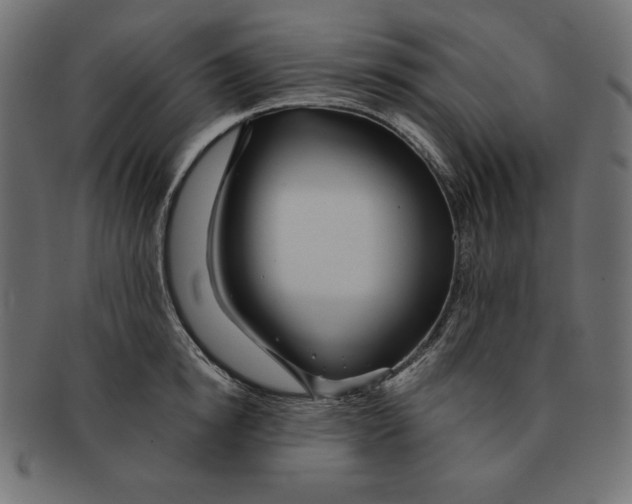 X0000091700854200709210921