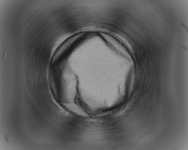 X0000091700855200709210921