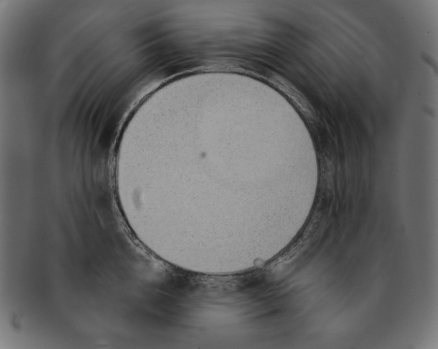 X0000091700856200709210921