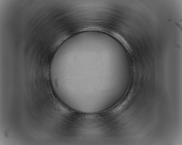 X0000091700857200709210921