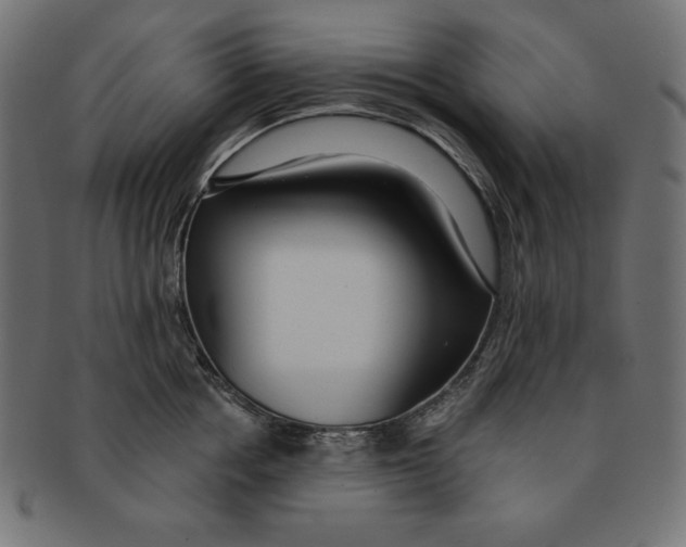 X0000091700858200709210921