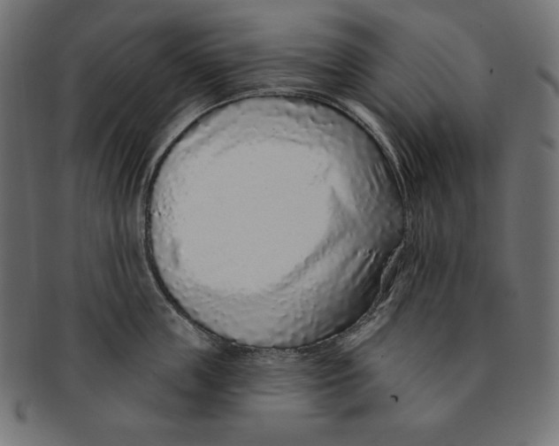 X0000091700859200709210921