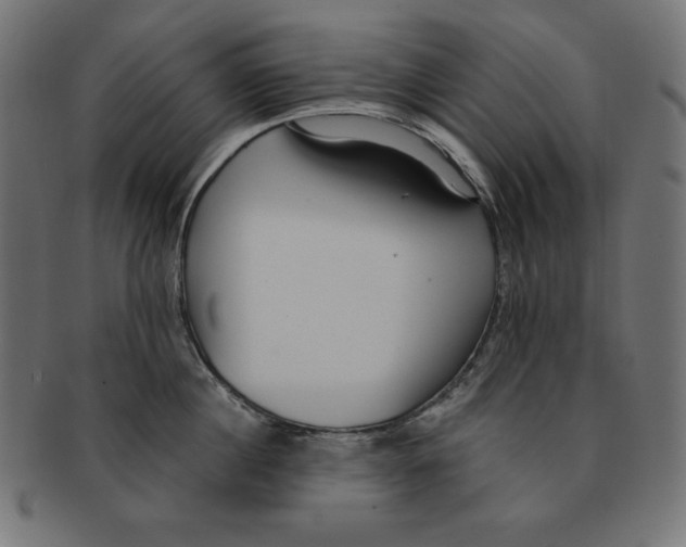 X0000091700860200709210921