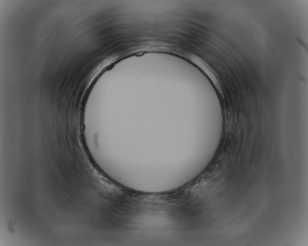 X0000091700861200709210921