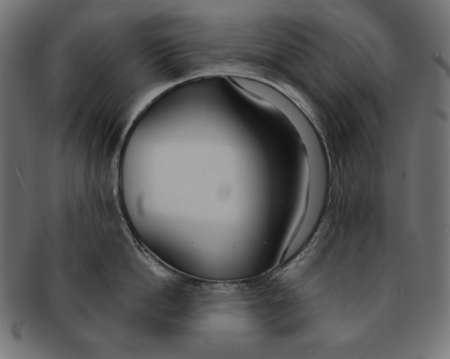 X0000091700862200709210921