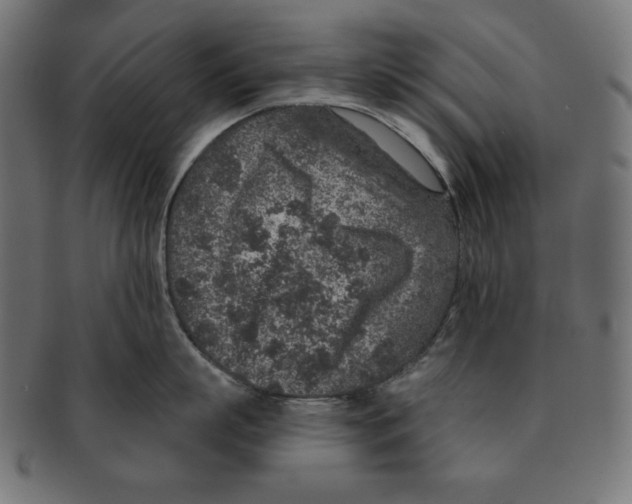 X0000091700863200709210921