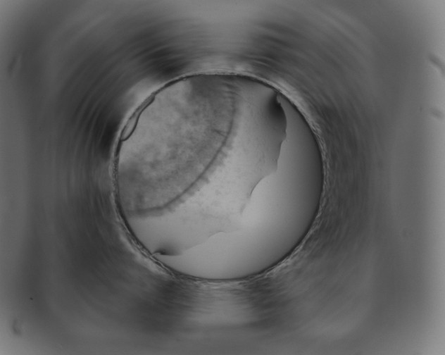 X0000091700864200709210921