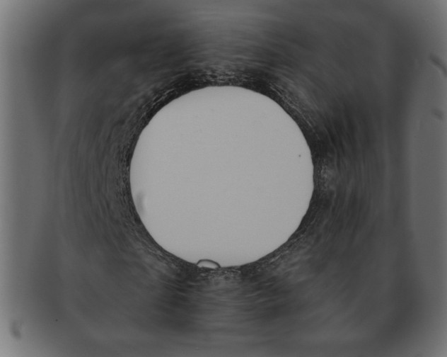 X0000091700865200709210920